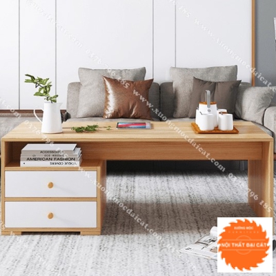 Bàn sofa - bàn trà kiểu dáng hiện đại BS054