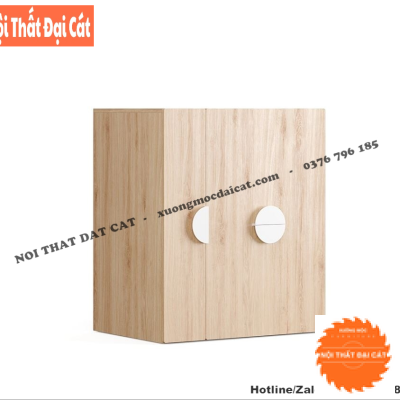 Tủ áo quần cho bé thiết kế đẹp TTE067