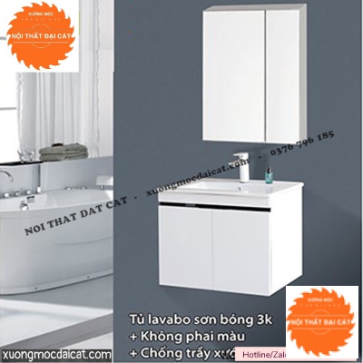 Tủ lavabo phòng WC TBVS050