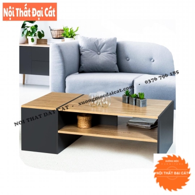 Bàn sofa tiếp khách thiết kế độc đáo BS073