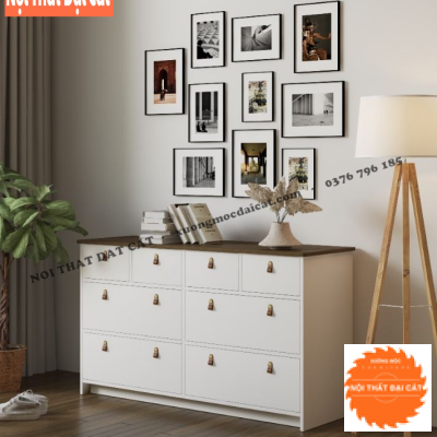 Tủ lưu trữ đồ nhiều khoang ngăn kéo TĐ079