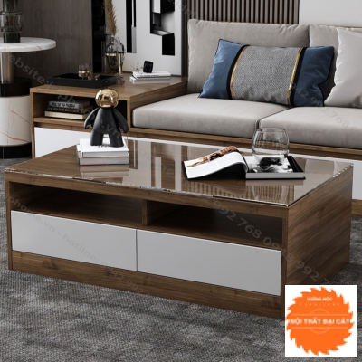 Bàn sofa gỗ thiết kế hiện đại BS042