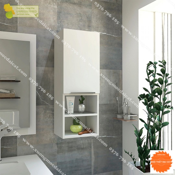 Tủ đựng đồ treo tường nhà tắm TPT023