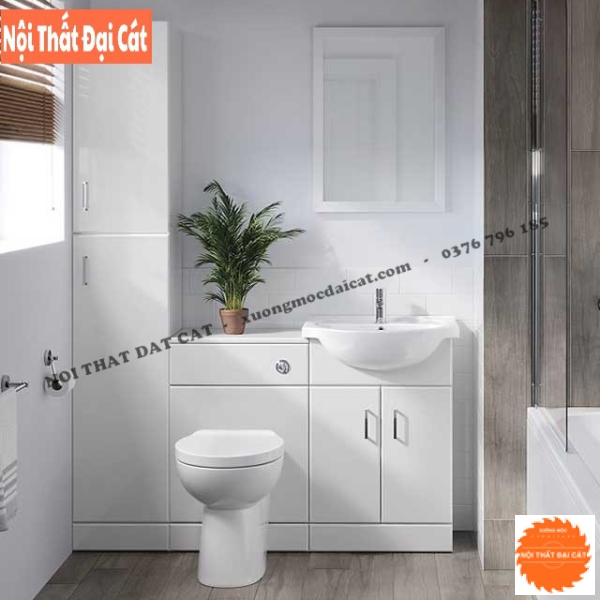 Tủ phòng tắm tiện dụng TPT032