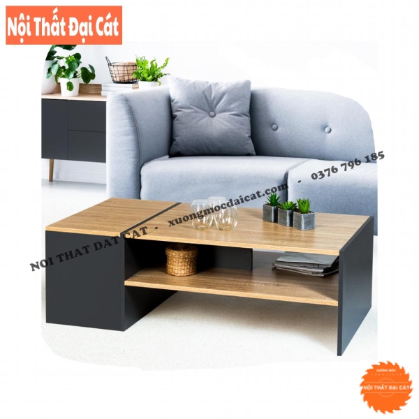 Bàn sofa tiếp khách thiết kế độc đáo BS073
