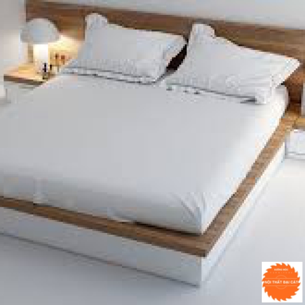 Giường ngủ bệt thiết kế nhỏ gọn G058